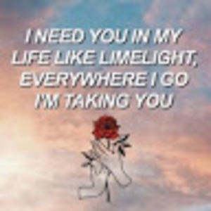 Meet your Posher, Bailey